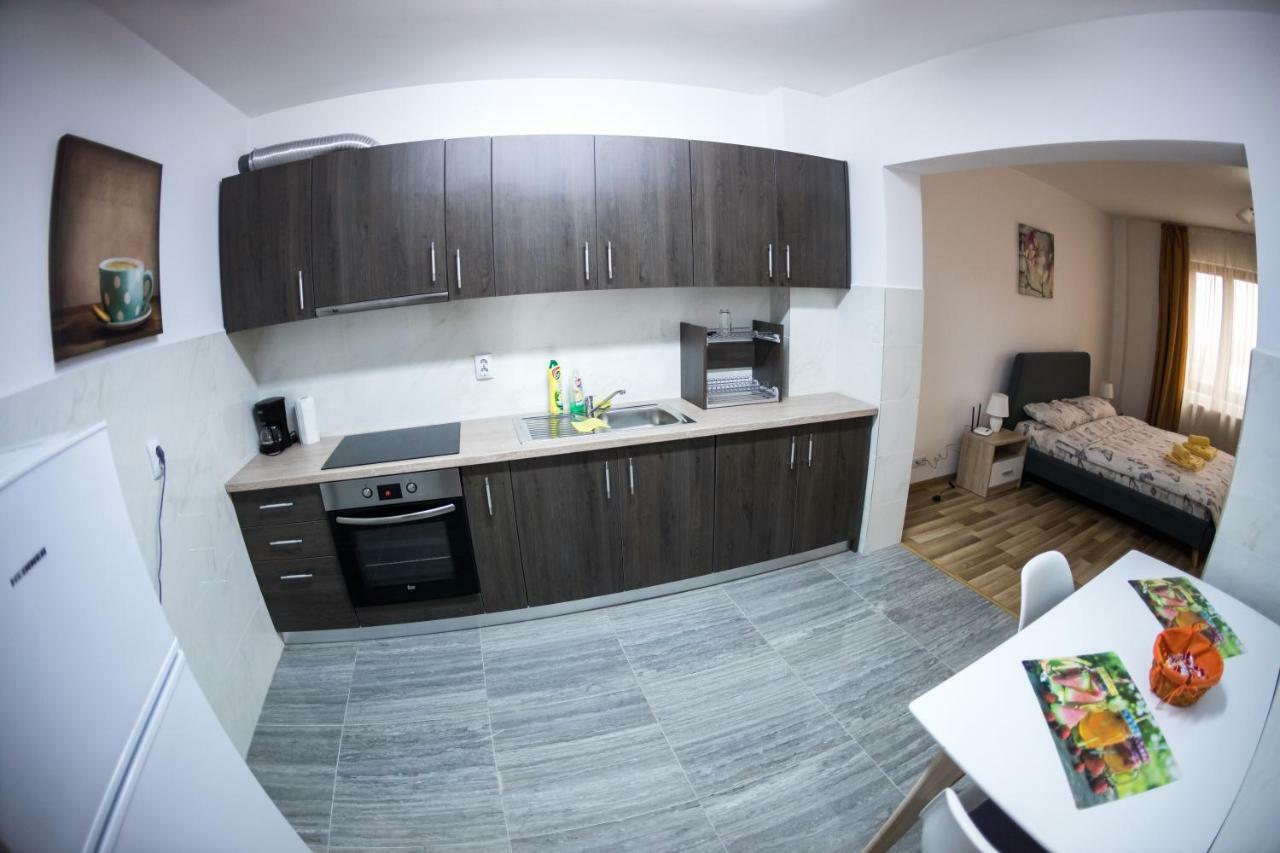Travel Homzzz Apartments Târgu-Mureş Eksteriør billede